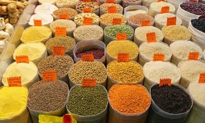 shutterstock_231916573_650